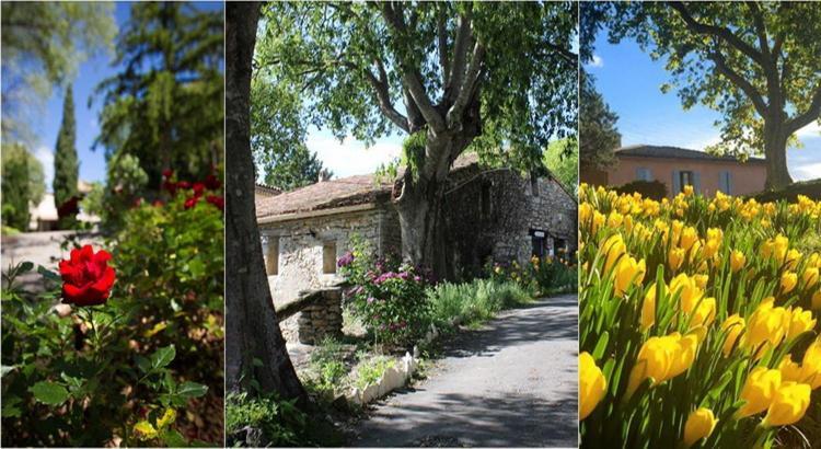 מלון Saint-Martin-de-Londres Le Hameau De L'Etoile מראה חיצוני תמונה